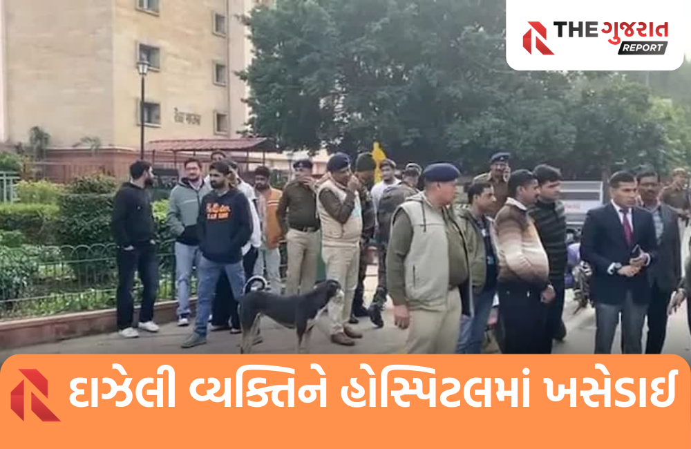 દિલ્હી: સંસદ ભવનની નજીક એક વ્યક્તિએ પોતાના પર પેટ્રોલ છાટ્યું, આપઘાતનો પ્રયાસ કરતાં ખળભળાટ