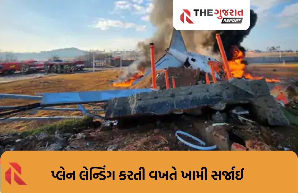 દક્ષિણ કોરિયામાં પ્લેન ક્રેશ: 85 લોકોના મોત, જાણો કેવી રીતે સર્જાઈ મોટી દુર્ઘટના