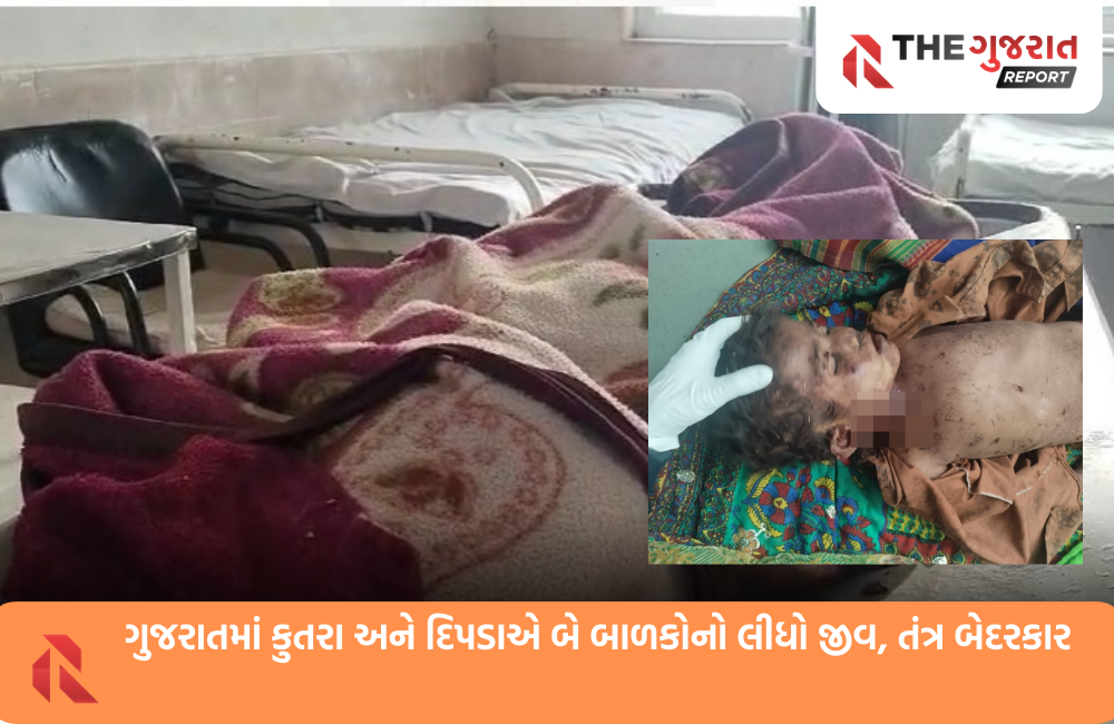 સૌરાષ્ટ્રમાં પ્રાણીઓના હુમલા વધ્યા, બે માસૂમ બાળકોને ફાડી ખાધાં છતાં તંત્ર ઘોર નિંદ્રામાં
