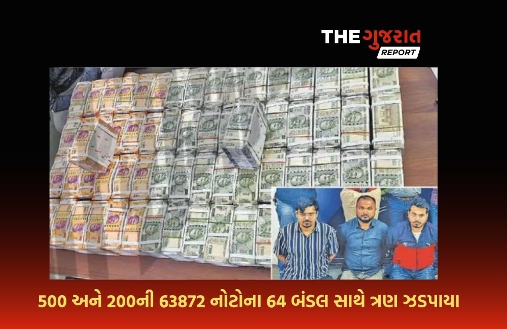 શિકારી જ બની ગયા શિકાર; નકલી ચલણી નોટ સાથે પોલીસે ત્રણને ઝડપી પાડ્યા