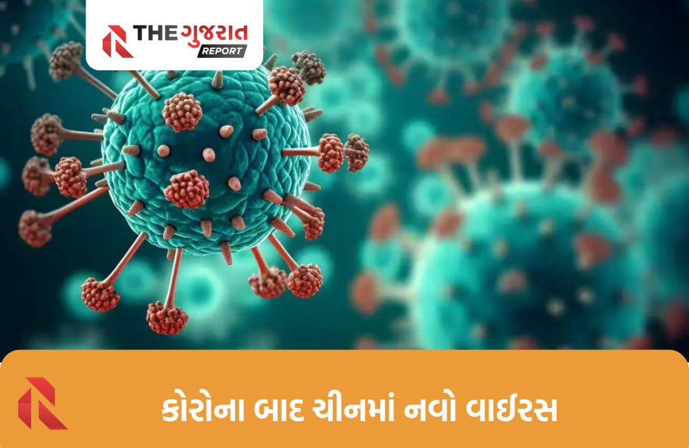 ચીનમાં ઝડપથી ફેલાયો HMPV વાઇરસ, ભારત સરકાર હાઇ અલર્ટ પર