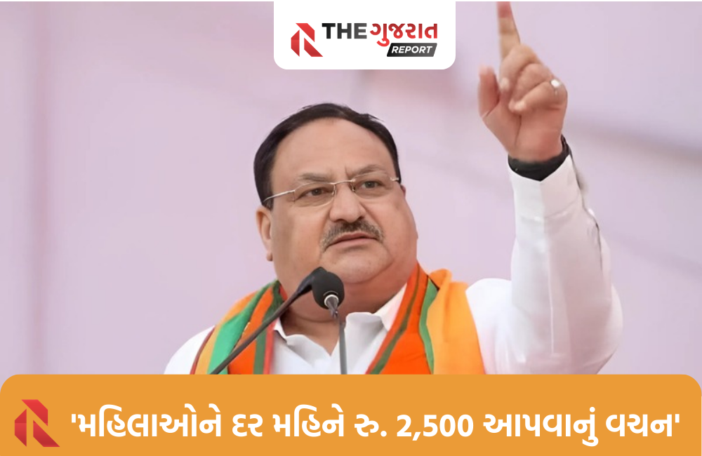 દિલ્હી જીતવા ભાજપે ખજાનો ખોલ્યોઃ રોકડ, ગેસ અને મફત યોજનાઓની મોટી જાહેરાતો, ઈસુદાન ગઢવીએ શું કહ્યું?