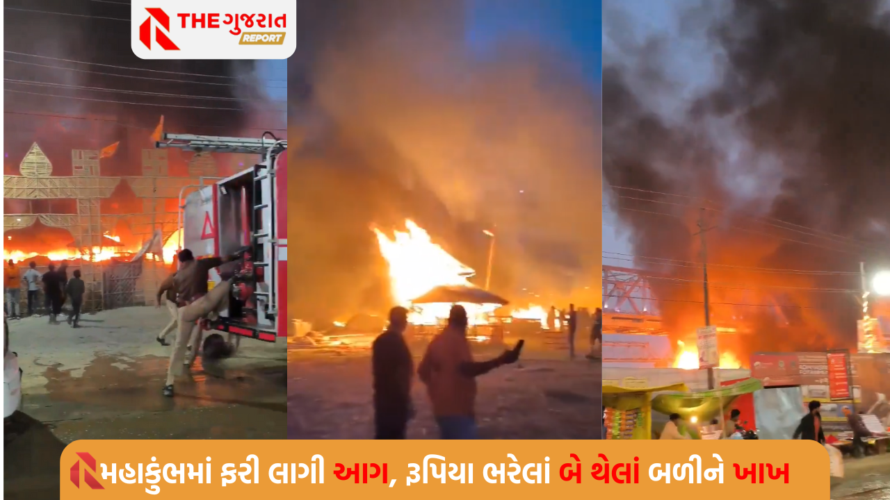 મહાકુંભમાં લાગી ભીષણ આગ, નોટો ભરેલાં 2 થેલાં સળગીને થયાં ખાખ (જુઓ Video)