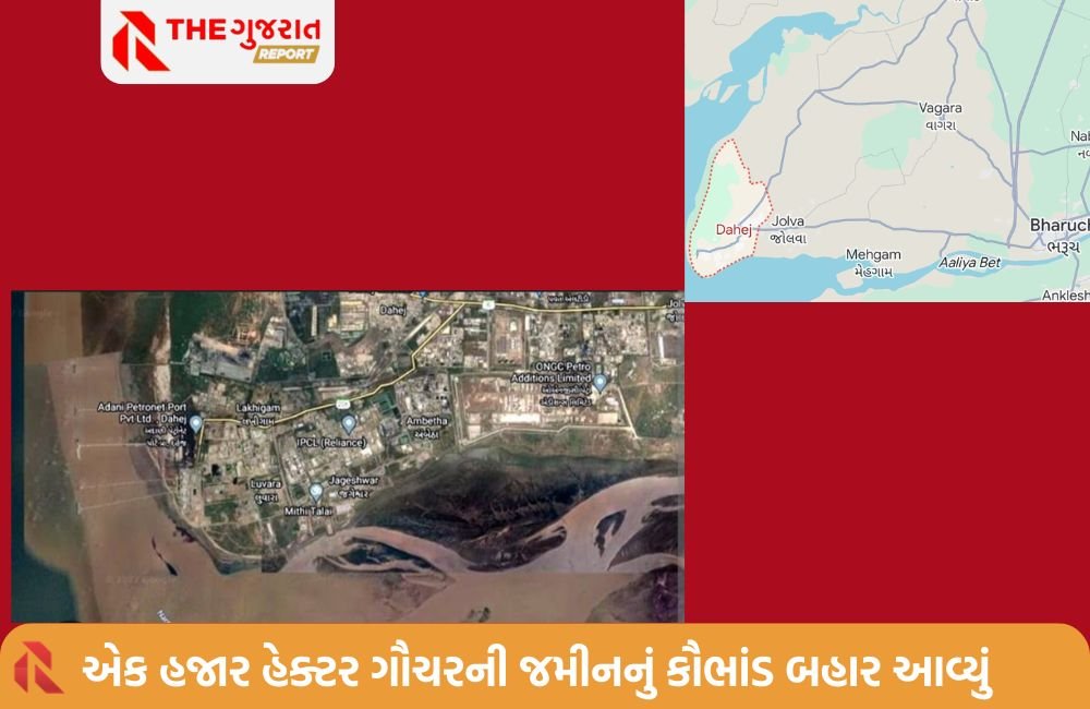 સરકારે ખંભાતના દરિયામાં ફાળવી ગૌચરની જમીન; હવે રોરો ફેરીમાં બેસીને ગાયો જશે ચરવા