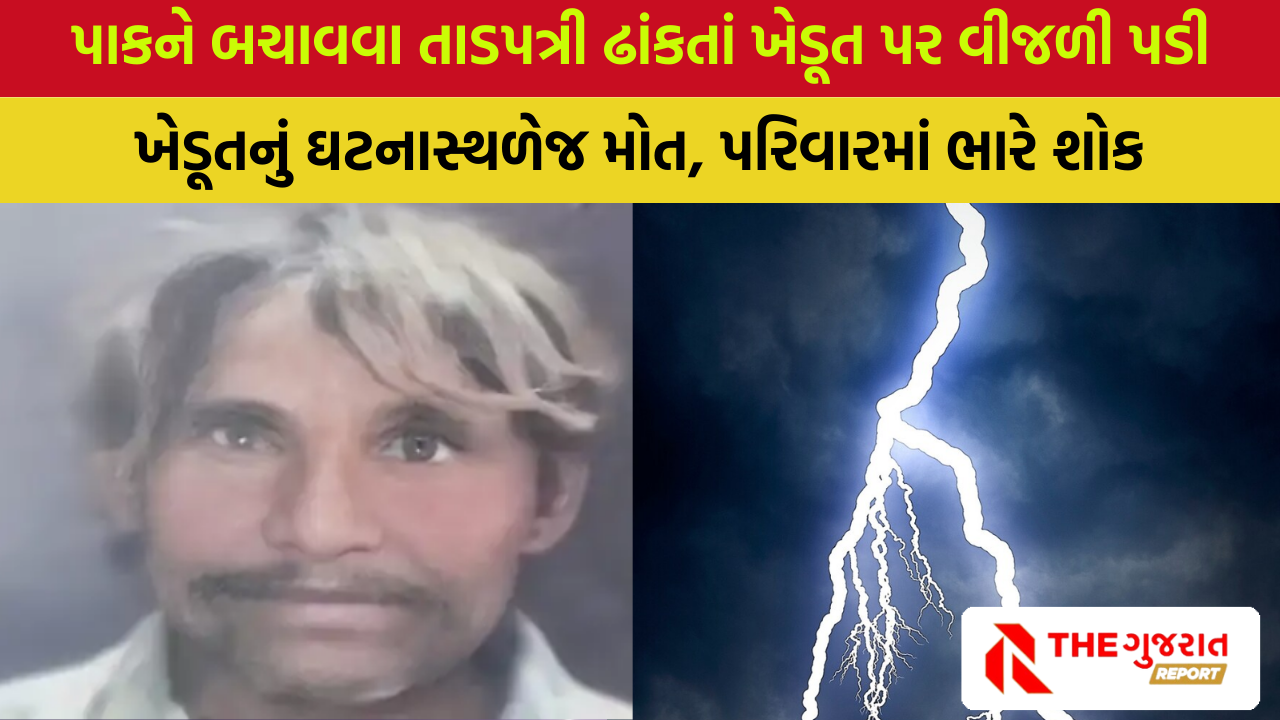 Ahmedabad: વિરમગામમાં વીજળી પડતાં ખેડૂતનું ઘટનાસ્થળે જ મોત