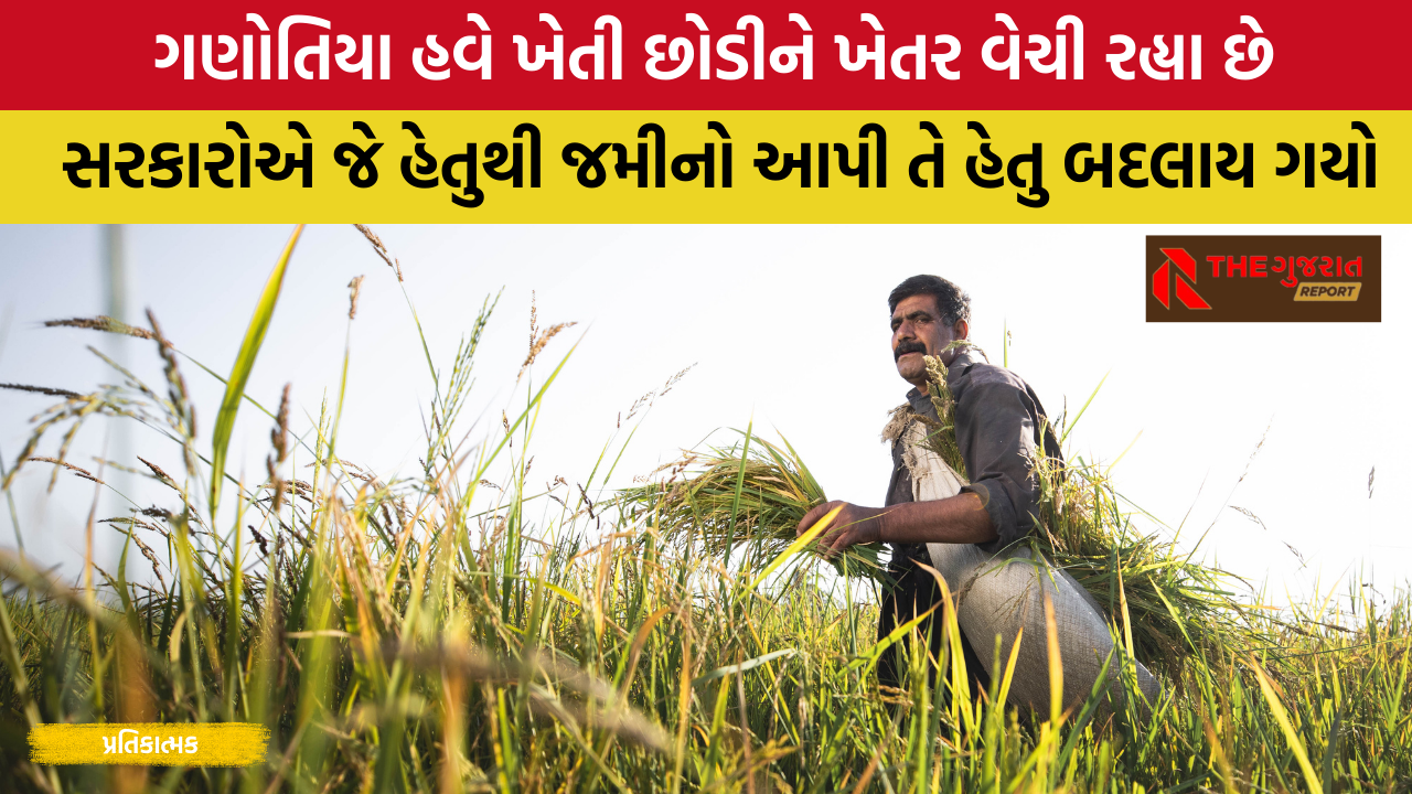 Gujarat: ખેતમજૂરો ખેતમાલિકો થયા, 75 વર્ષે ફરી જમીન વિહોણા