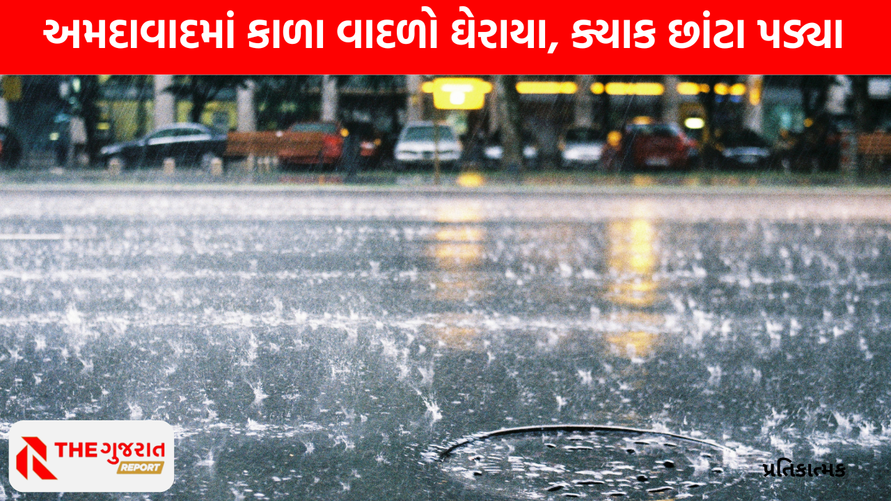 Gujarat ના હવામાનમાં પલટો, વીજળી પડતાં મહિસાગરમાં બે ભેંસના મોત
