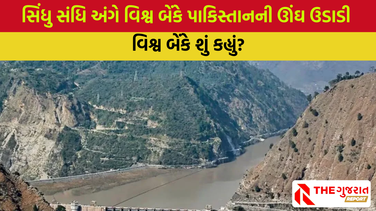 World Bank એ પાકિસ્તાનને આપ્યો ઝટકો, સિંધુ જળ સંધિ પર આપ્યું ચોકાવનારુ નિવેદન