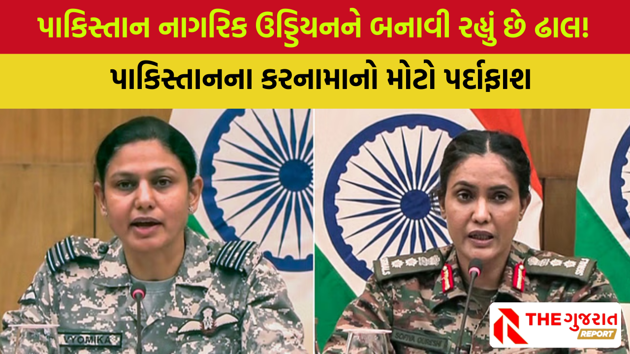 ‘લેહથી સર ક્રીક સુધી ઘૂસણખોરીનો પ્રયાસ ભારતે નિષ્ફળ બનાવ્યો, પાકિસ્તાને કર્યો તુર્કીના ડ્રોનનો ઉપયોગ | Operation Sindoor