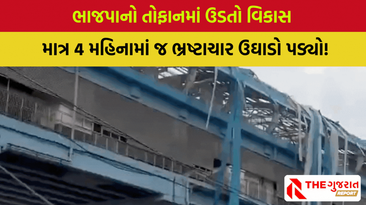 Delhi: વાવાઝોડામાં રેપિડ મેટ્રો સ્ટેશનની છતનો શેડ ઉડ્યો,   4 મહિના પહેલા મોદીએ કર્યું હતું ઉદ્ઘાટન
