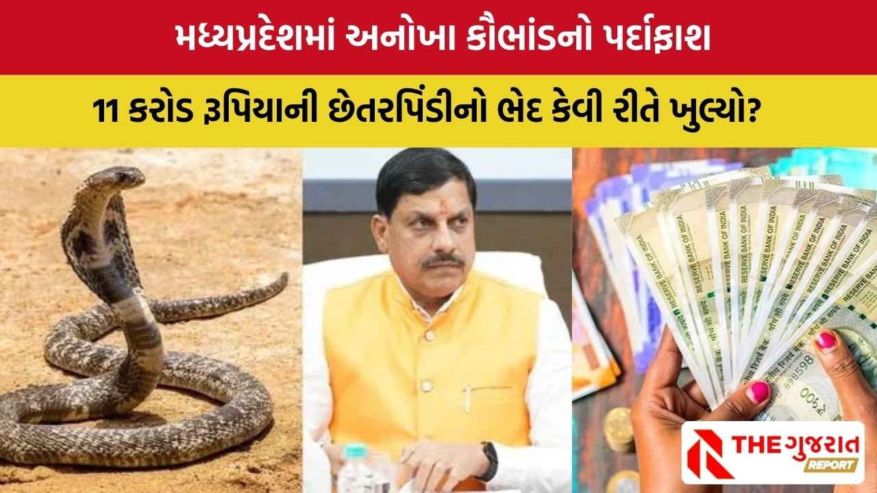 Snake Scam in MP