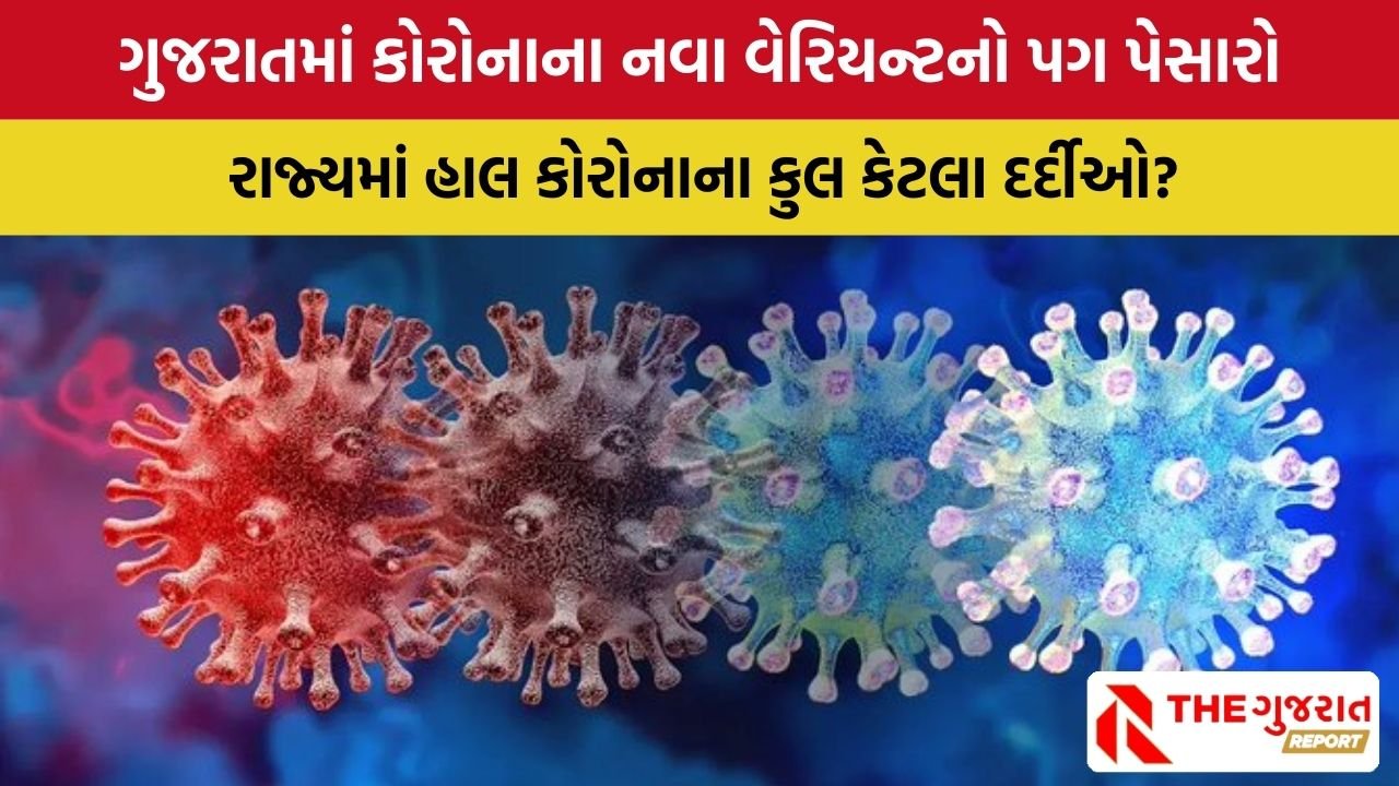Corona in Gujarat