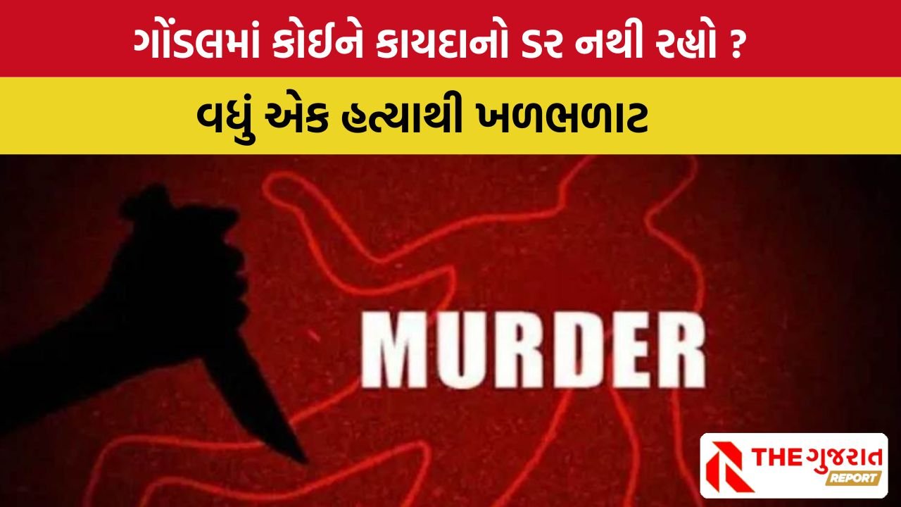 Gondal માં ગુંડાગીરી યથાવત, જમીન માટે ભાઈએ જ ભાઈનો જીવ લીધો