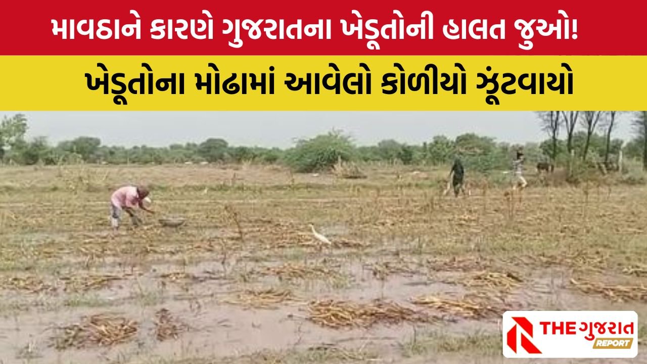 kheda