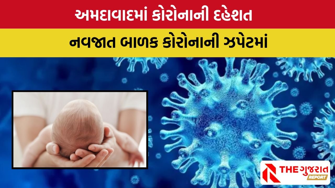 Covid-19 Cases in Ahmedabad
