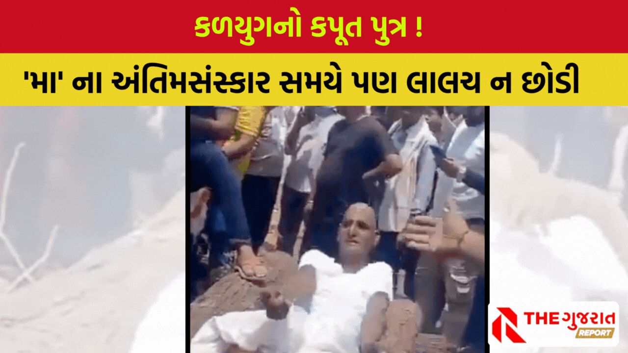 Rajasthan Viral Incident: