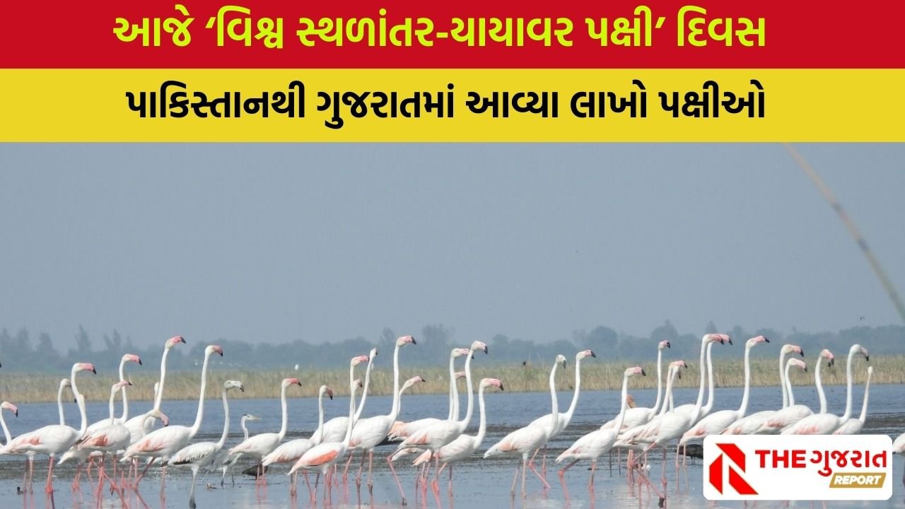 World Migratory Bird Day