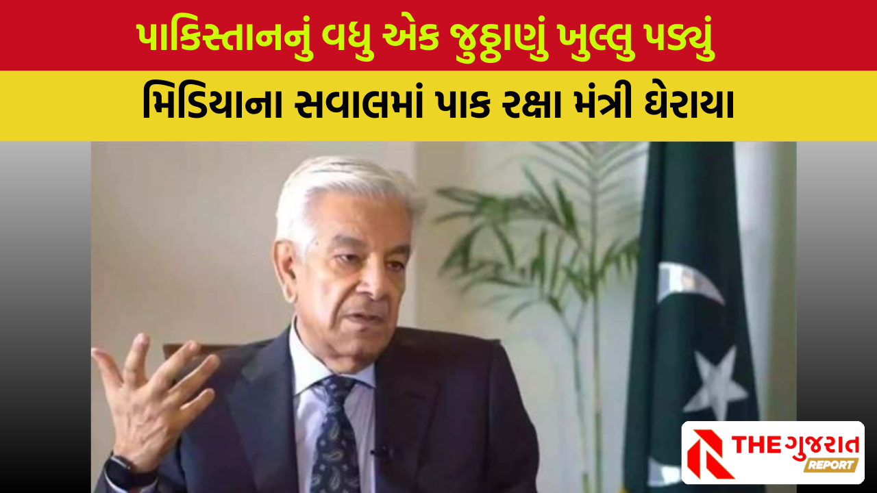 ભારતના 5 પ્લેન તોડી પાડવાના દાવા પર પાકિસ્તાની રક્ષામંત્રી ફસાયા | Khawaja Asif