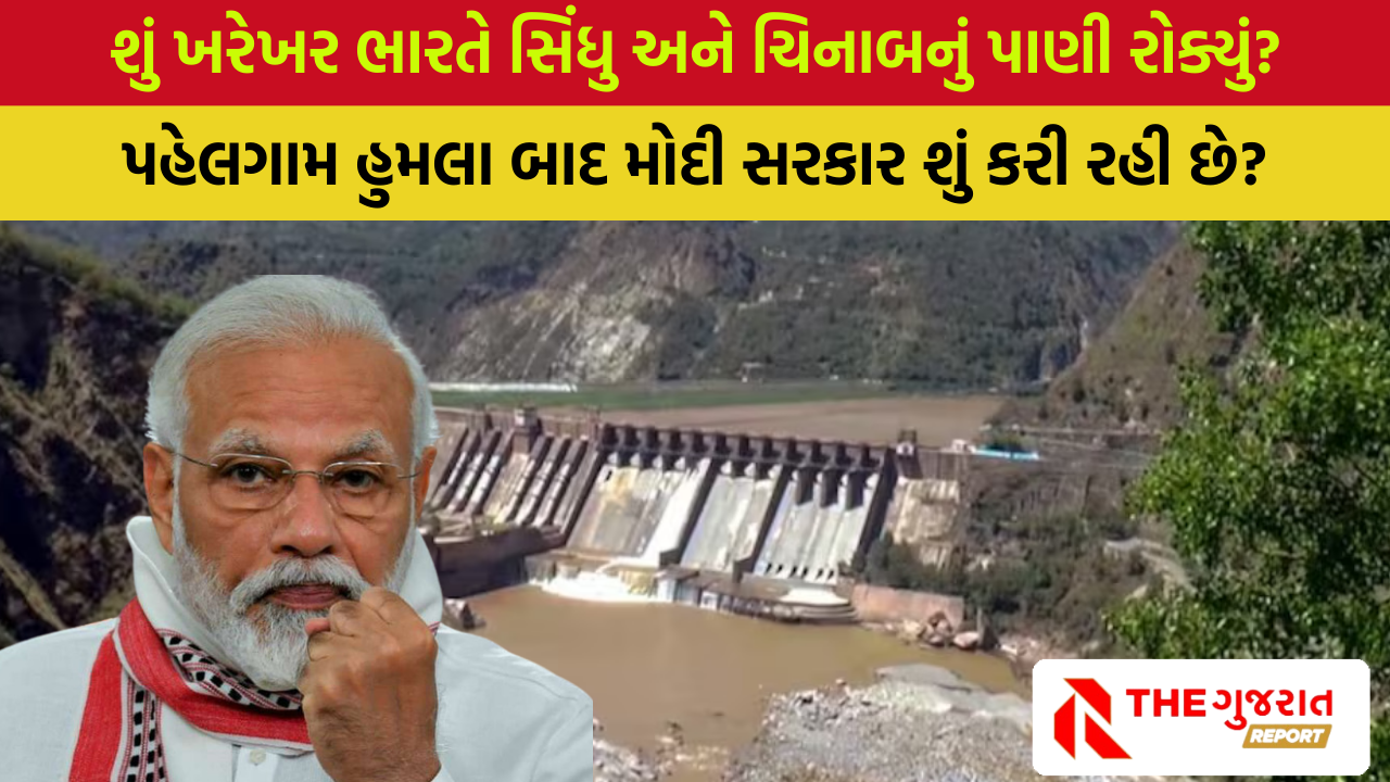 India-Pakistan Tension: સિંધુ બાદ હવે ભારતે ચેનાબનું પાણી રોક્યું, આ રીતે લડશે ભારત આતંકીઓ સામે?