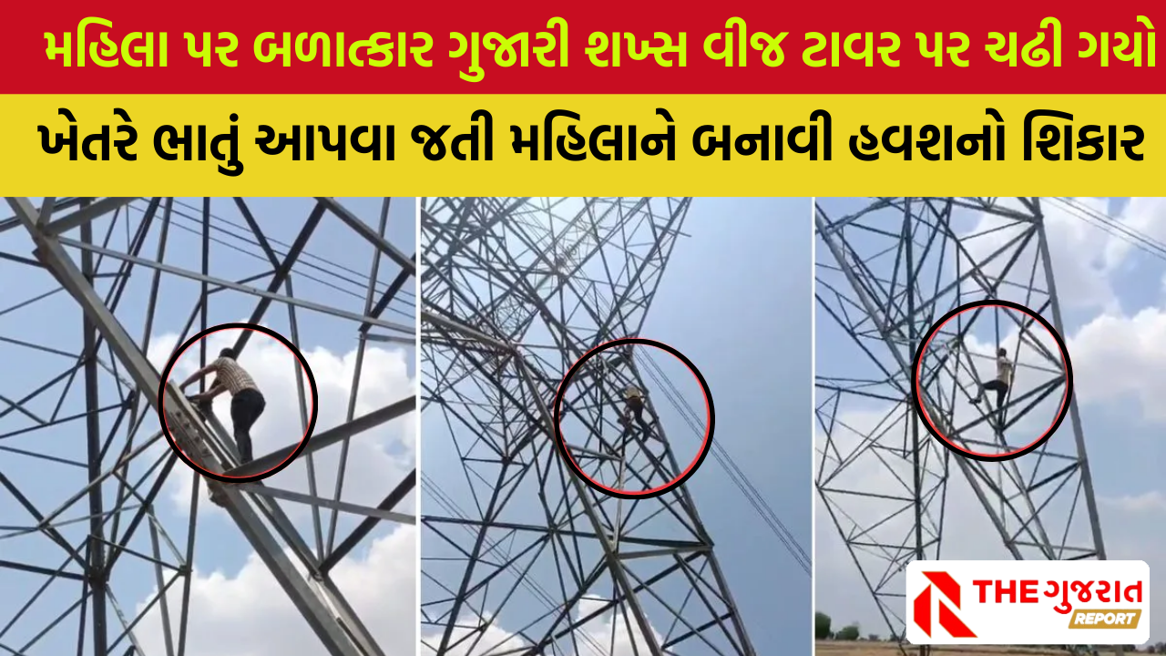 MP: પોલીસે પીછો કરતાં દુષ્કર્મનો આરોપી હાઈટેન્શન લાઈન પર ચઢી ગયો, પછી શું થયું?