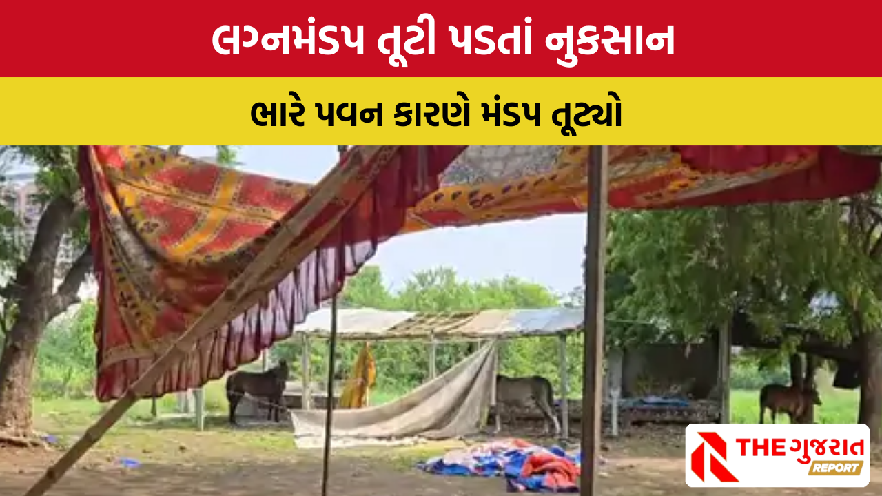 Surat: પવન સાથે વરસાદ પડતાં લગ્નમંડપ તૂટી પડ્યો, 7 દિવસ વરસાદની આગાહી!