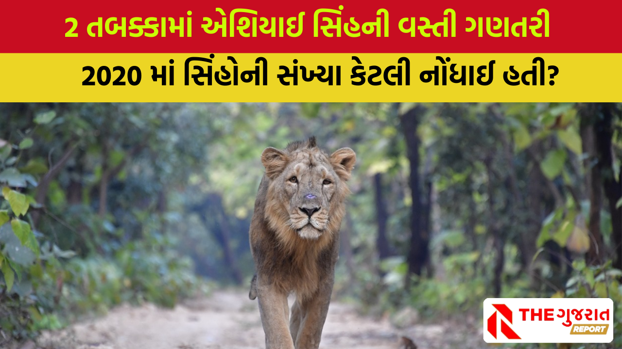 Lions Census: ગુજરાતમા સિંહોની 16મી વસ્તી ગણતરી થશે થશે, 3 દિવસમાં કેવી રીતે કરશે ગણતરી?