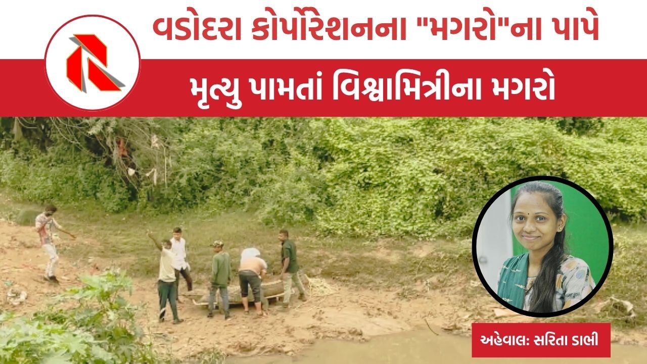 Vadodara: કોર્પોરેશનના “મગરો”ના પાપે મૃત્યુ પામતાં વિશ્વામિત્રીના મગરો
