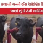 kutch