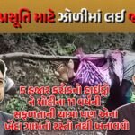 chhotaudepur