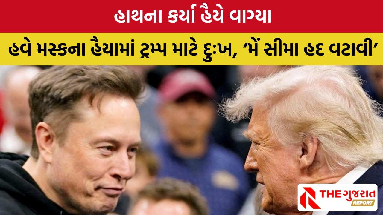Donald Trump Vs Elon Musk: એલોન મસ્ક અને ટ્રમ્પ વચ્ચે સીઝફાયર!, શબ્દયુદ્ધ રોકાયું, મસ્ક ઢીલા પડ્યા