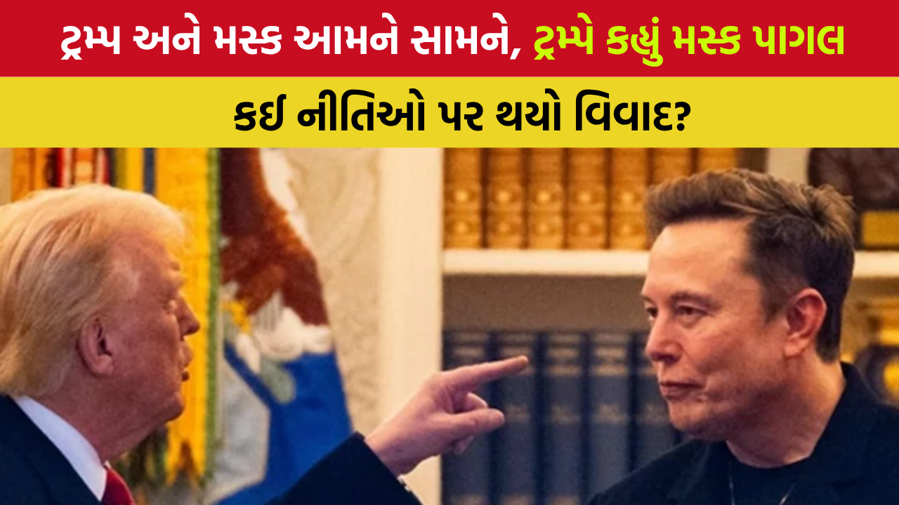 Trump vs Musk: એલોન મસ્ક ટ્રમ્પને હરાવવા નવી પાર્ટી બનાવી?, શું મસ્ક બનશે રાષ્ટ્રતિ?