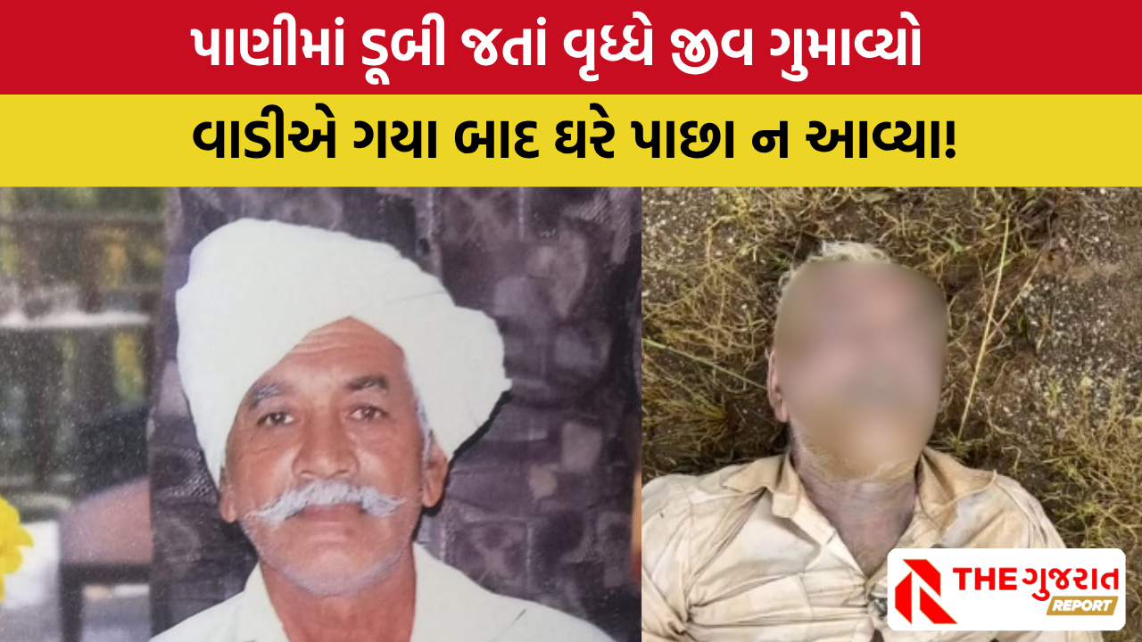 Amreli: રાજુલાના ખાખબાઇ ગામે ધાતરવડી ડેમમાંથી વૃદ્ધનો મૃતદેહ મળ્યો, જાણો વધુ