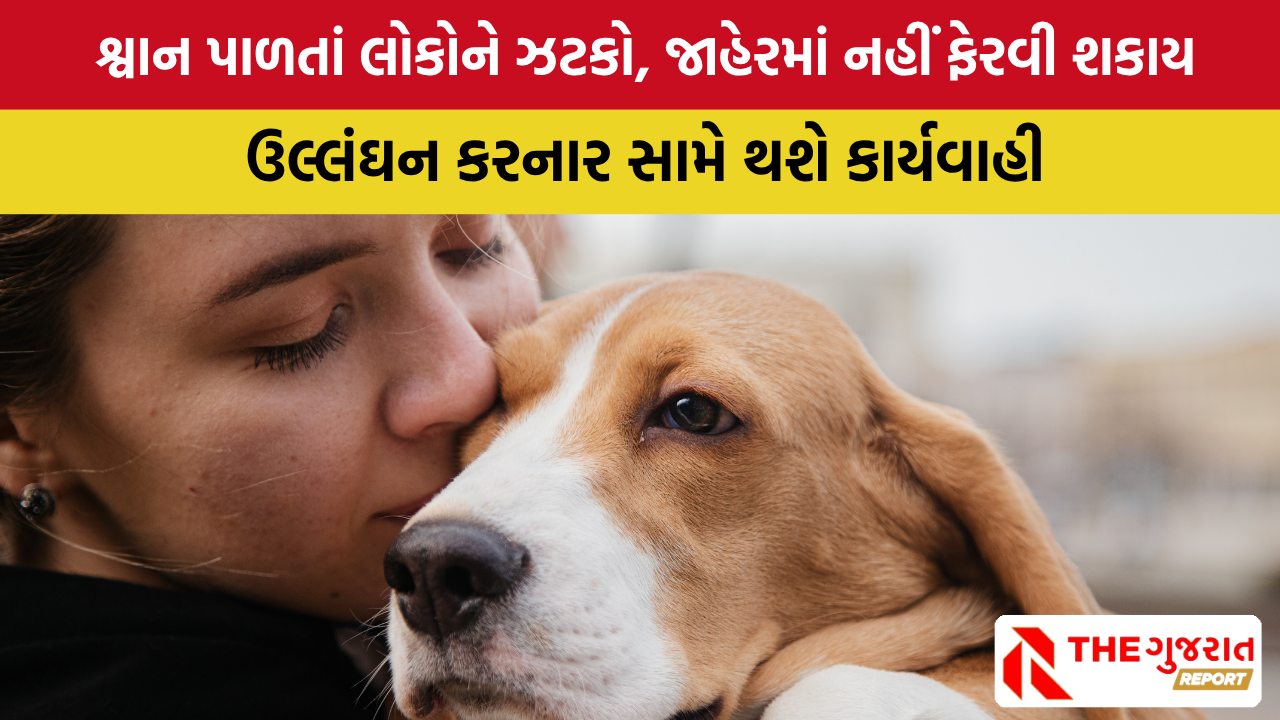 આ દેશમાં કુતરાઓને જાહેરમાં ફેરવવા પર પ્રતિબંધ, કઈ ધાર્મિક માન્યતા આડે આવી? | Dogs Ban