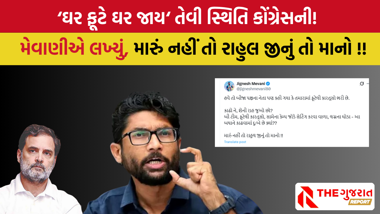 કોંગ્રેસથી નારાજ Jignesh Mevani એ પક્ષ માટે આ શું કહી દીધુ?