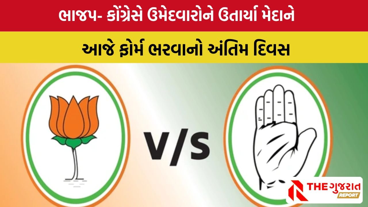 Kadi-Visavadar પેટાચૂંટણી માટે ભાજપ- કોંગ્રેસે ઉમેદવાર જાહેર કર્યા, જુઓ કોણ છે ઉમેદવારો?