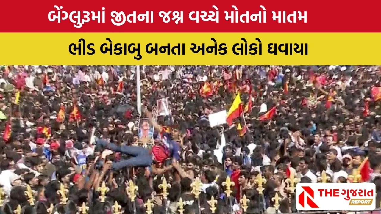 IPL 2025 Final: RCB ની જીતની ઉજવણીમાં મચી નાસભાગ,  7 ના મોત, અનેક ઘાયલ