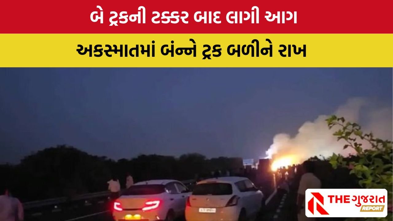 Ahmedabad: અમદાવાદ-વડોદરા એક્સપ્રેસ વે પર ભીષણ અકસ્માત, બે ટ્રકની ટક્કર બાદ આગ,  ડ્રાઈવર ઘાયલ