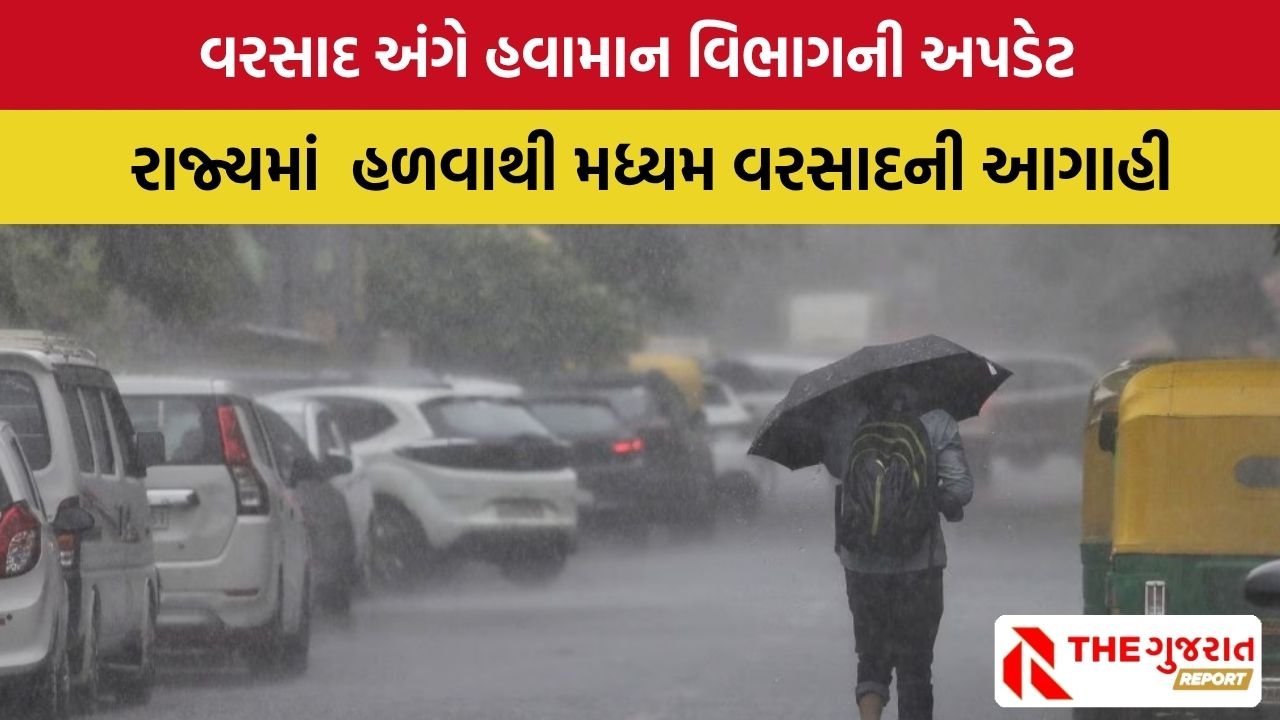 Gujarat Weather Update:  ગુજરાતનાઆ જિલ્લાઓમાં આજે છુટાછવાયા વરસાદની આગાહી