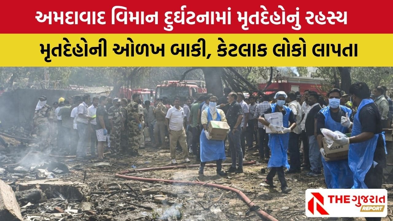 Ahmdedabad Plane Crash: 15 સફાઈ કર્મચારીઓ લાપતા, 19 મૃતદેહોની નથી થઈ ઓળખ