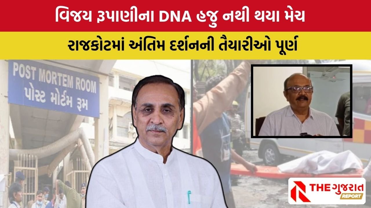 Ahmedabad Plane Crash: અત્યાર સુધી કુલ 31 મૃતકોનાં  DNA સેમ્પલ થયા મેચ, 12 મૃતદેહ પરિવારજનો સોંપાયા