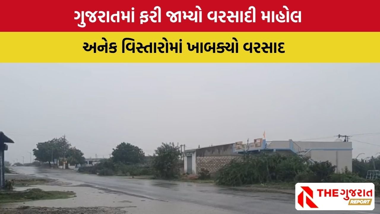 Gujarat Rain Update: આજે ગુજરાતના આ વિસ્તારોમાં પડશે વરસાદ, હવામાન વિભાગની આગાહી