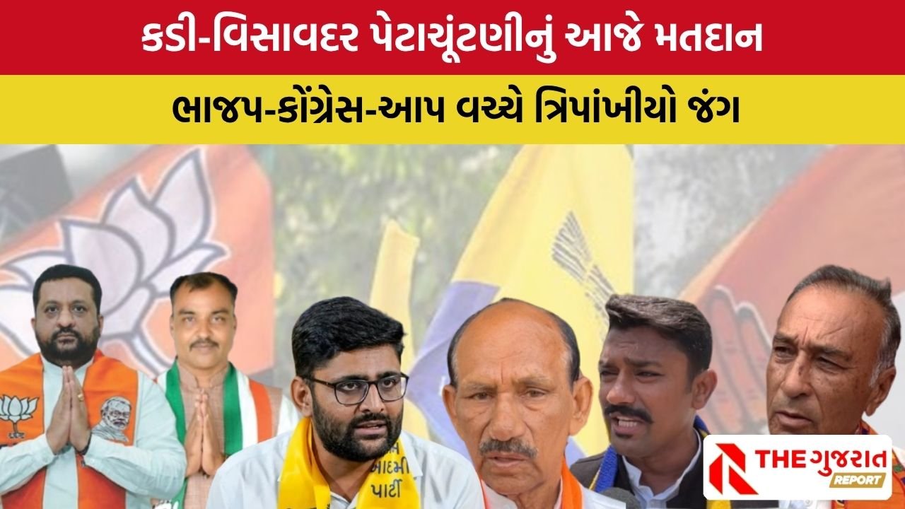 Gujarat By Elections 2025: કડી અને વિસાવદરમાં પેટા ચૂંટણી: મતદાન શરૂ,  મતદારોની લાઈન લાગી