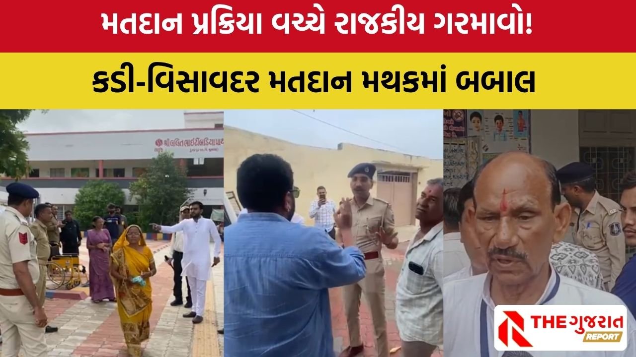 Gujarat By Elections 2025: કડી- વિસાવદર મતદાન મથકો પર કેમ થયો હંગામો? જાણો સમગ્ર મામલો