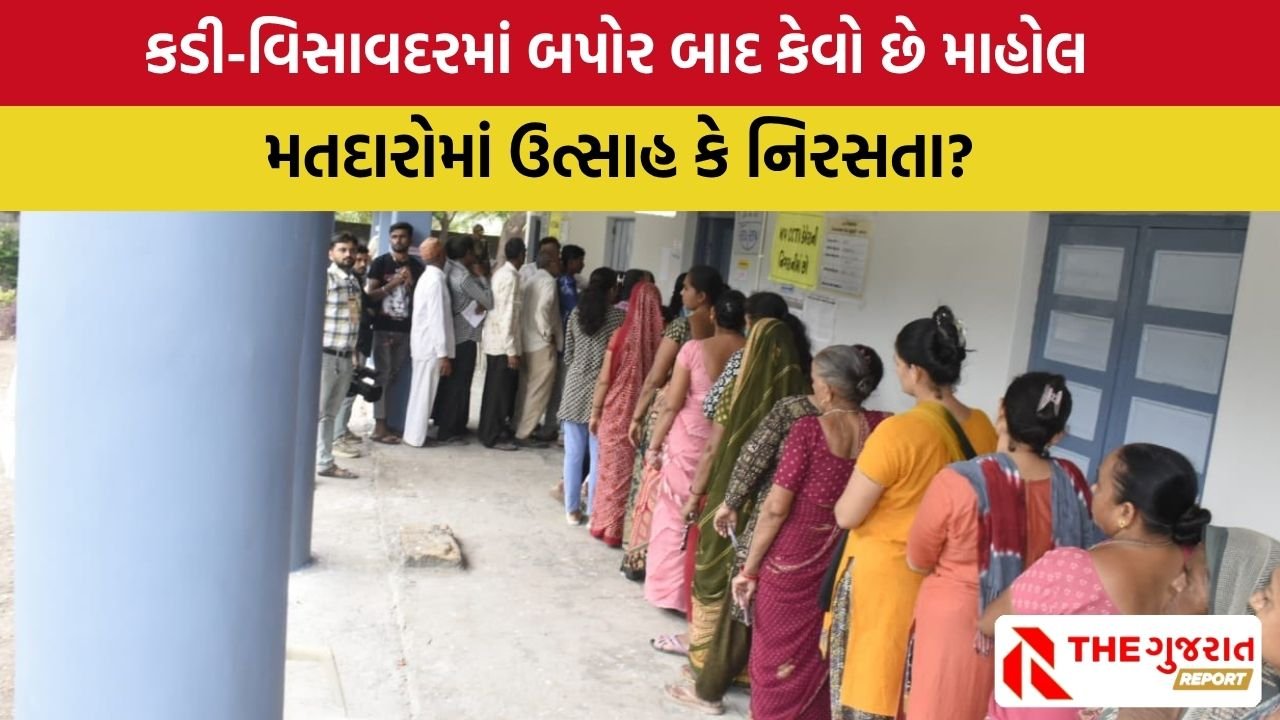 Gujarat by Election 2025: વિસાવદર અને કડીમાં અત્યાર સુધીમાં કેટલા ટકા મતદાન થયું ?