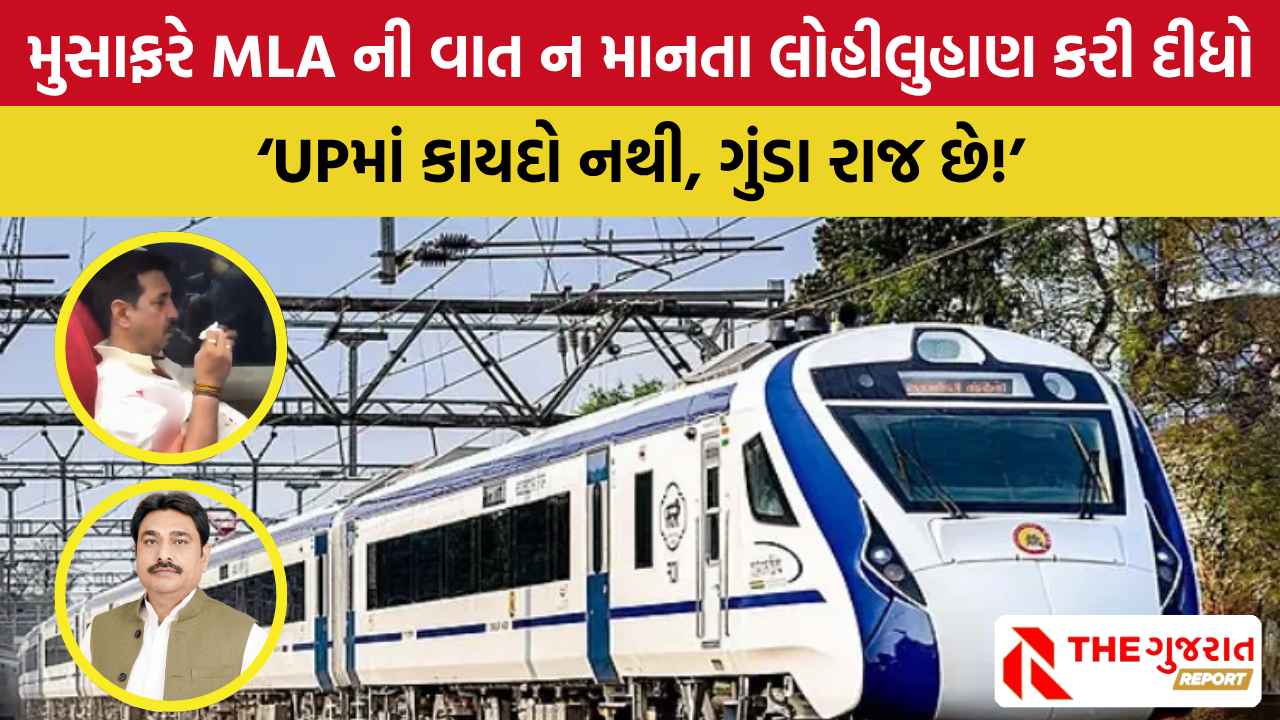 ટ્રેનની બારીએ બેસવા BJP ધારાસભ્યના ઈશારે મુસાફરને માર માર્યો, આ છે સુશાન?