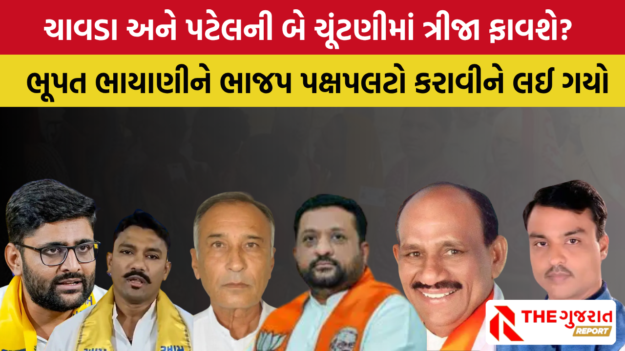 વિસાવદ  અને કડીમાં ત્રિપાંખિયો જંગ, કોણ ફાવશે? | Elections