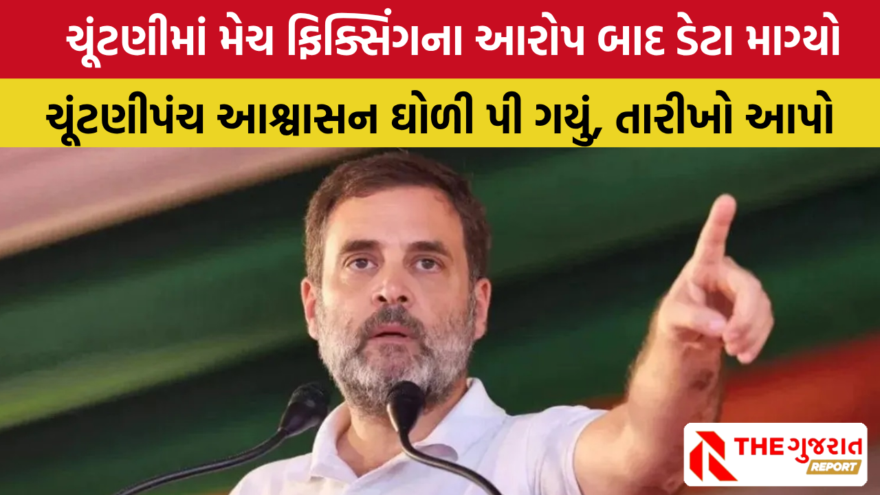 Rahul Gandhi