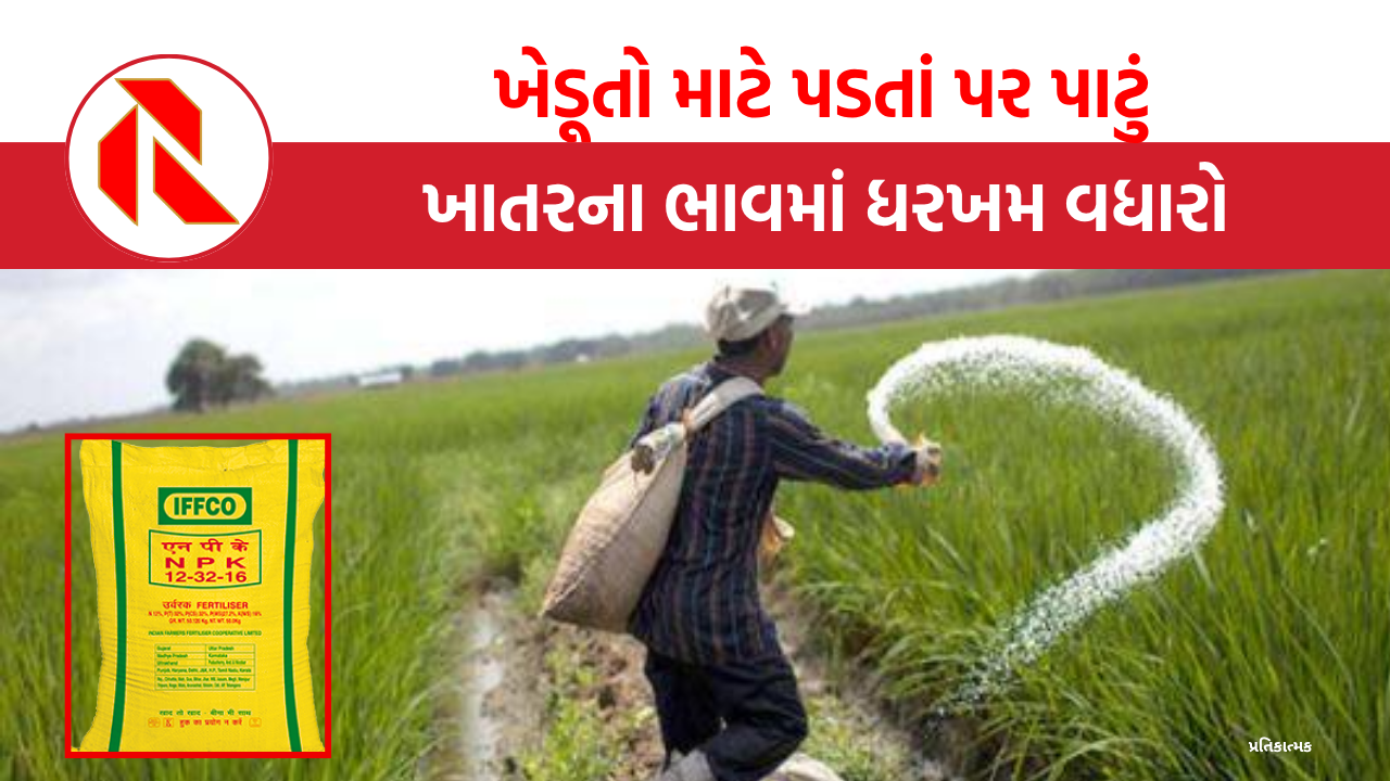 NPK fertilizer  price