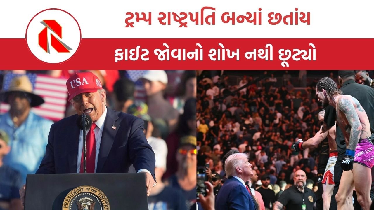 Trump announces UFC fight: સ્વતંત્રતા દિવસ પર વ્હાઇટ હાઉસમાં યોજાશે UFC ફાઇટ