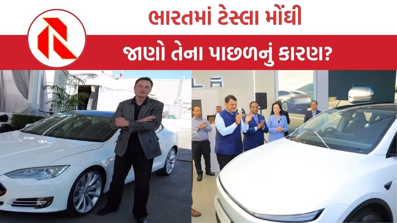 tesla in india